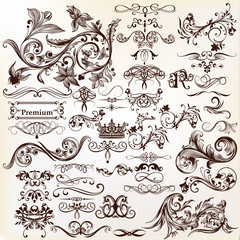 Vector set of calligraphic elements for design. Calligraphic vec