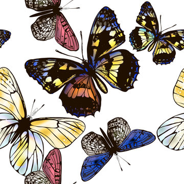 Vector seamless wallpaper pattern with butterflies for design