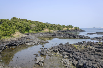 Fototapeta na wymiar Landscape of Jeju Olle cours No. 2