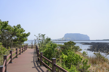 Obraz premium Landscape of Jeju Olle cours No. 2