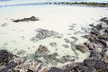 Woljeongri beach in Jeju Island