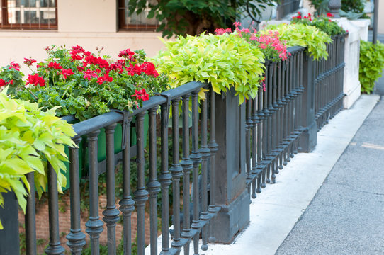 Flowered iron railing of Saint Paui bridge in Vicenza