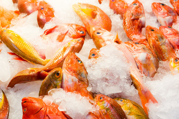 Fresh fish in market