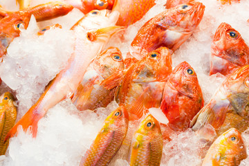 Red snapper fish in wet market