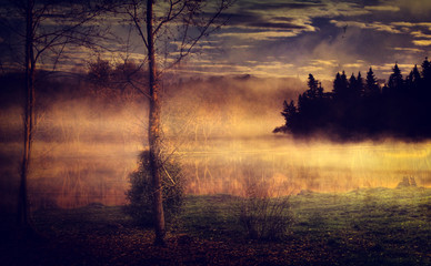 Foggy morning lake