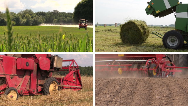 Agricultural equipment spray field, make grass bales, harvest wheats and fertilize soil. Montage of video clips collage. Split screen. White angular frame. 4K UHD 2160p