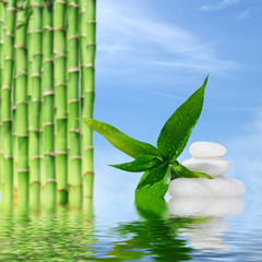 Obraz na płótnie Canvas Zen spa concept background - Zen massage stones and bamboo reflected in water