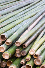 Pile of bamboo stalks