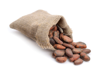 Cocoa beans before roast