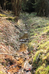Fototapeta premium Kleiner Bachlauf im Wald