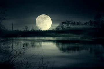 Photo sur Plexiglas Chambre à coucher Lever de pleine lune