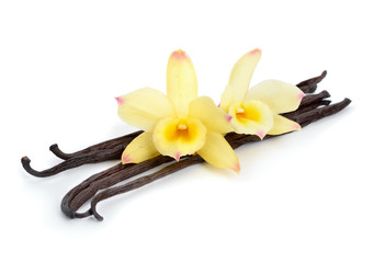 Vanilla pods with two yellow orchids.