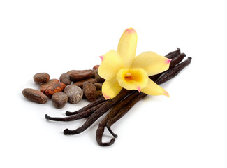 Pods of vanilla and cocoa beans with one yellow orchid.