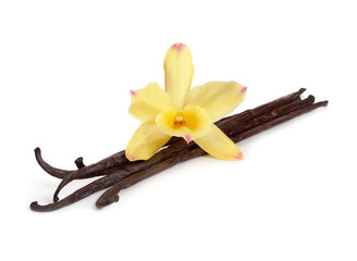 Naklejka na ściany i meble Vanilla pods with one yellow orchid.