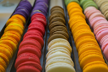 colorful macarons