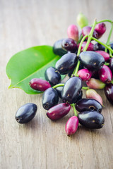 Jambolan plum, Java plum (Syzygium cumini) on white background.