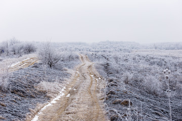 road covered with hoarfrost
