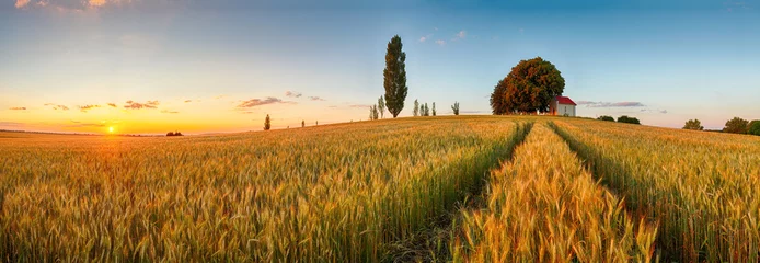 Peel and stick wallpaper Countryside Summer wheat field panorama countryside, Agriculture