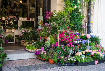 Fototapeta na wymiar small flower shop