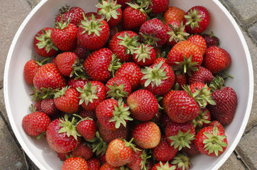 Strawberries in bowl