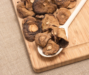 Dried mushrooms on canvas