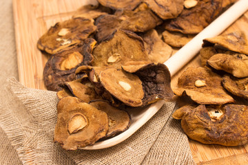 Dried mushrooms on canvas