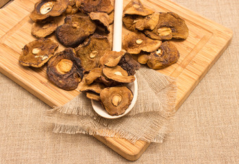 Dried mushrooms on canvas