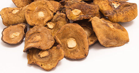 Dried mushrooms isolated on white