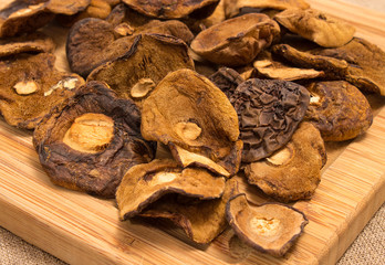 Dried mushrooms on canvas