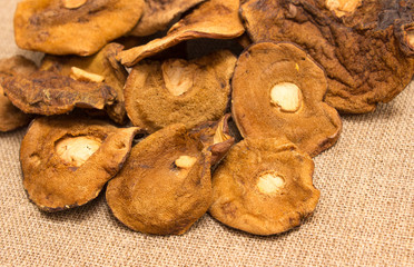 Dried mushrooms on canvas