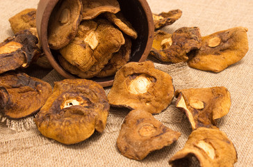 Dried mushrooms on canvas