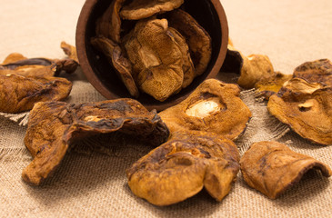 Dried mushrooms on canvas