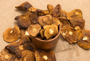 Dried mushrooms on canvas