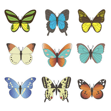Set of Vector butterflies