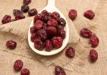 dried cranberries on canvas close up