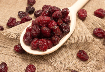 dried cranberries on canvas close up