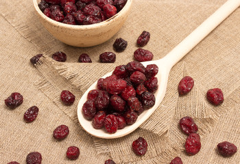 dried cranberries on canvas close up