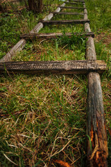 Old wooden ladder lying on lawn.