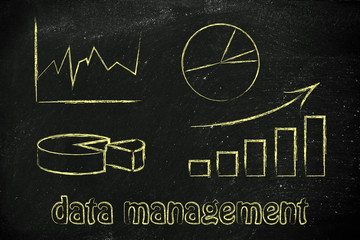 graphs and stats: business intelligence and data management