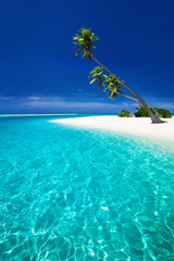 Strand op een tropisch eiland met palmbomen die over de lagune hangen
