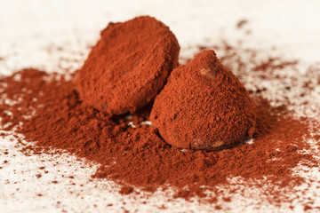 Truffle chocolate candies on cocoa powder