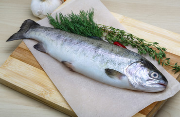 Raw trout