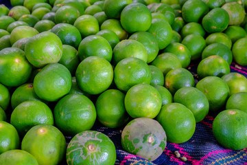 limes on fabric