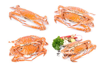 Red crab