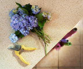 clipped with shears bouquet on  table