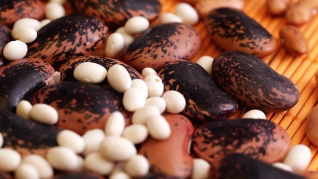 HD 1080 closeup: beans seed at rotating display