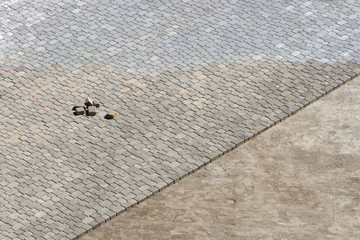 Building pavement street. View from above.