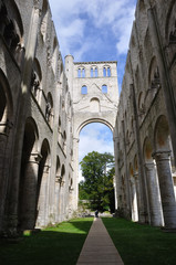 Vestiges de l'abbaye de Jumi&egrave;ges (Normandie)