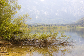 Bohinj lake, Slovenia