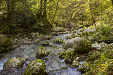 Naklejka na ściany i meble River stream in colorful autumn forest in Slovenia